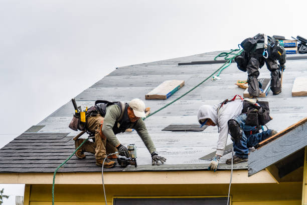 Professional Gutter Installation technician working in Clayton, GA
